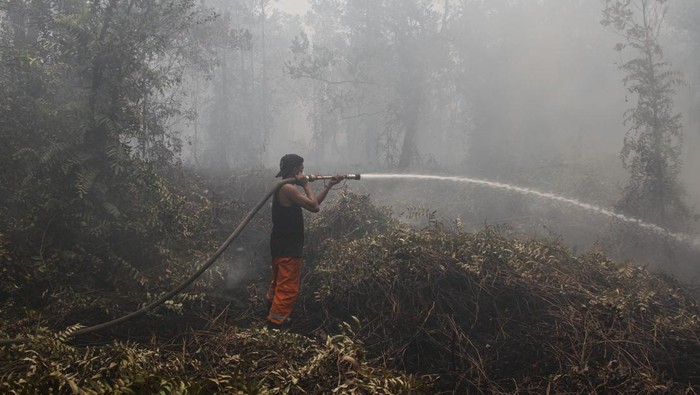 Karhutla di Kalteng Capai 148,71 Hektare, Kasus ISPA Tembus 66 Ribu