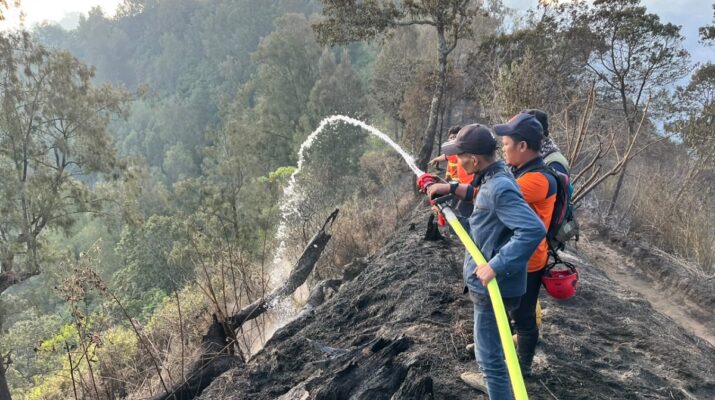Karhutla Melanda Empat Gunung di Jawa Timur, Angin Kencang dan Kabut Hambat Pemadaman